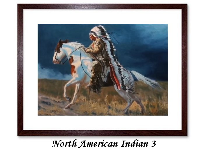 North American Indian Framed Prints